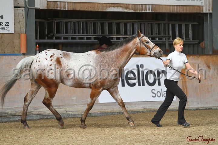 24-ApHC HIH_075.jpg